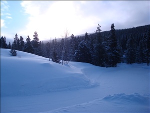 Breck2008 040.jpg